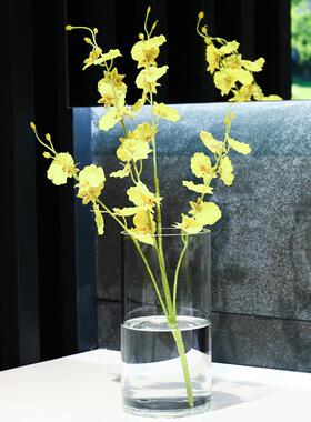 清明透玻璃摆20137件客厅干花水培插花新圆小柱直筒富贵竹一枝花