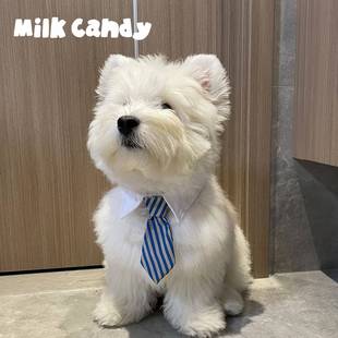 狗狗领带宠物围脖小狗口水巾围兜柴犬西高地围巾配饰猫咪领巾装饰