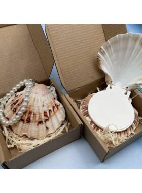 手贝壳贝书制作打孔壳手工diy贝壳账本原材48497料大号色天然白大