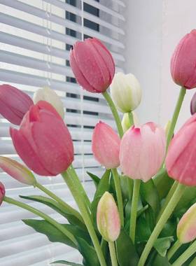 Handsome手感保湿郁金香仿真花桌高档假花摄餐花艺件客00849厅拍