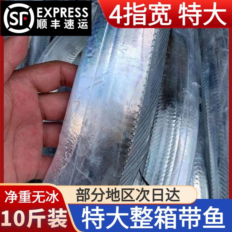 特大号带鱼新鲜冷冻鲜活整条整箱十斤无冰礼盒装舟山东海青岛深海,水产肉类/新鲜蔬果/熟食,带鱼,淘宝优惠券,粉丝福利购,淘宝优惠卷