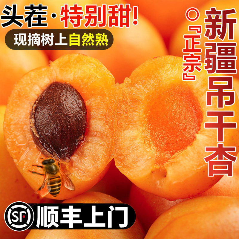顺丰上门正宗新疆小红杏子新鲜水果阿克苏吊干杏当季整箱胜小白杏 - 实物图