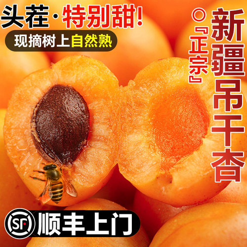 顺丰上门正宗新疆小红杏子新鲜水果阿克苏吊干杏当季整箱胜小白杏