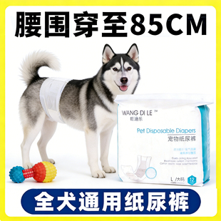 哈士奇狗狗尿不湿公狗专用纸尿裤 尿布母狗尿片大狗大姨妈 生理裤