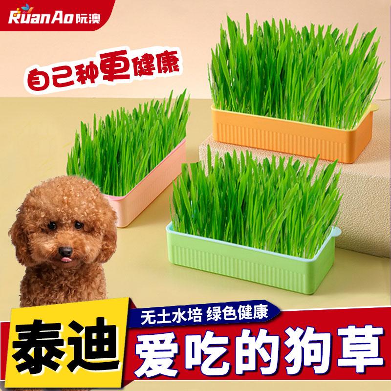 阮澳宠物化毛草狗草排泄排毛