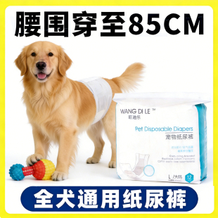 金毛狗狗尿不湿公狗专用纸尿裤 月经老年狗男狗大狗卫生巾 生理裤