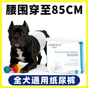 卡斯罗狗狗尿不湿公狗专用纸尿裤 男狗大型犬宠物大狗母狗 生理裤