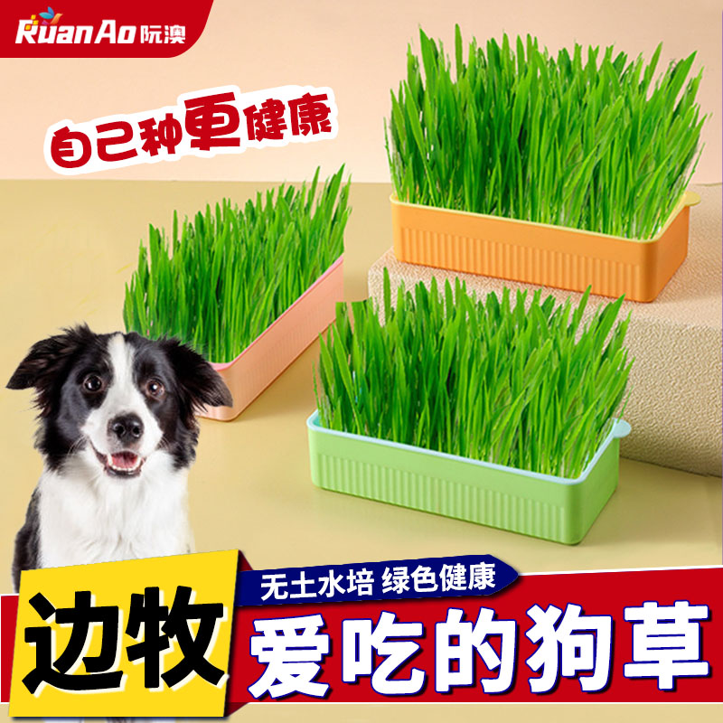 阮澳宠物化毛草狗草排泄排毛