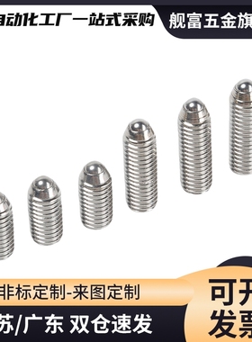 不锈钢球头柱塞 BSZF BSX 3 4 5 6 8 10 12 16