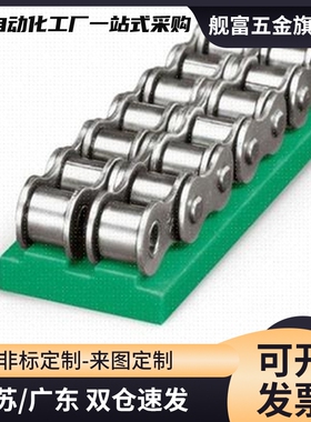 VSW31/32/36/37-35/40/50/60-L2000链条导向件安装法兰型横向纵向