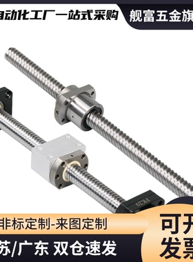 滚珠丝杆 LCE49-15-5-L300-F15-P10 丝杠螺母套装