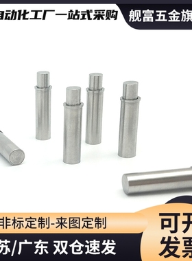 MPFS2-1.5-MPFS5-4平头销型小径弹柱塞ZAS21光身定位销 (ZC206-1)