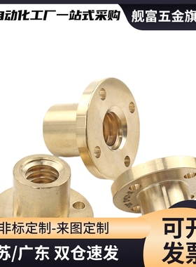 30度梯形丝杠螺帽MTSCR MTSFR MTSGR MTSNR16 20 22 25 28 30 32