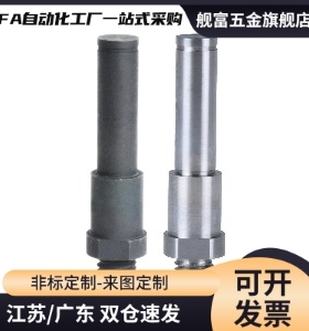 MFR41/42/43/51/52-3/4/5/6/8/10/12/13/15/16/17/18/20悬臂销