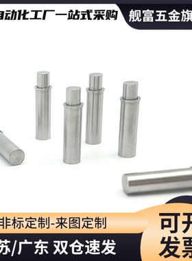 MPFS2-1.5-MPFS5-4平头销型小径弹柱塞ZAS21光身定位销 (ZC206-1)