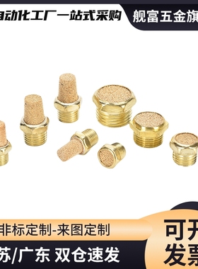 替电磁阀平头消声器 BSLM-01 BSLM-02 BSLM-03 BLSM-04 BSM-06 分