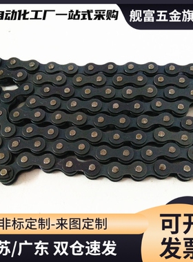 VMB/VMC/VMD/VMF/VMG/VMK/VML/VMN01-25/35/40/50/60/80/100链条