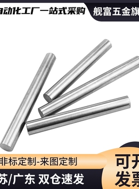 SAD01/02/06/07/21/22-D10-L100导向轴 直杆型 标准型 g6