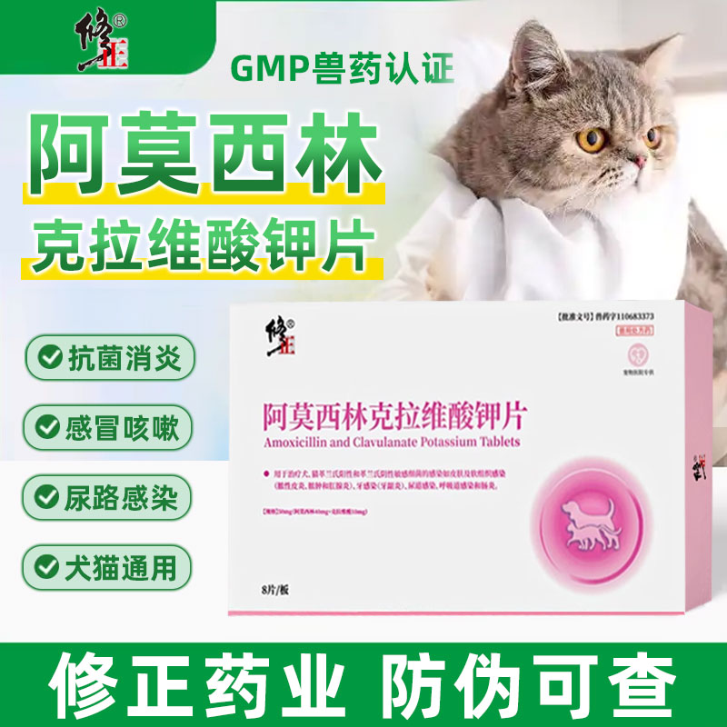 修正阿莫西林克拉维酸钾片消炎药