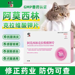 修正阿莫西林克拉维酸钾片消炎速抗感染诺猫狗感冒药皮炎牙炎肛炎