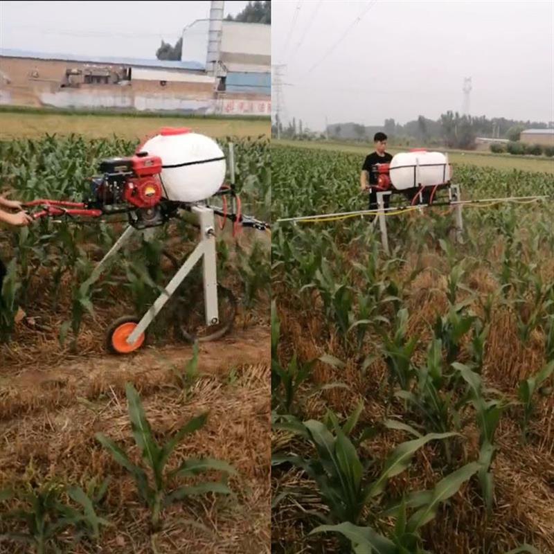 手扶式自走式打药机 汽油农田喷药机 高效率喷药机