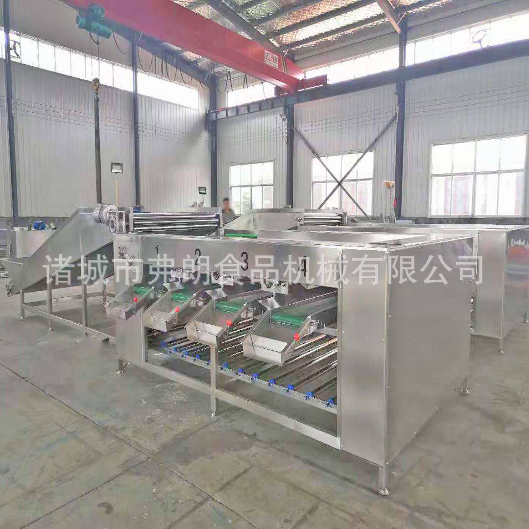 不锈钢果蔬分级机 西柚分级机 山竹百香果清洗分级流水线厂家直供