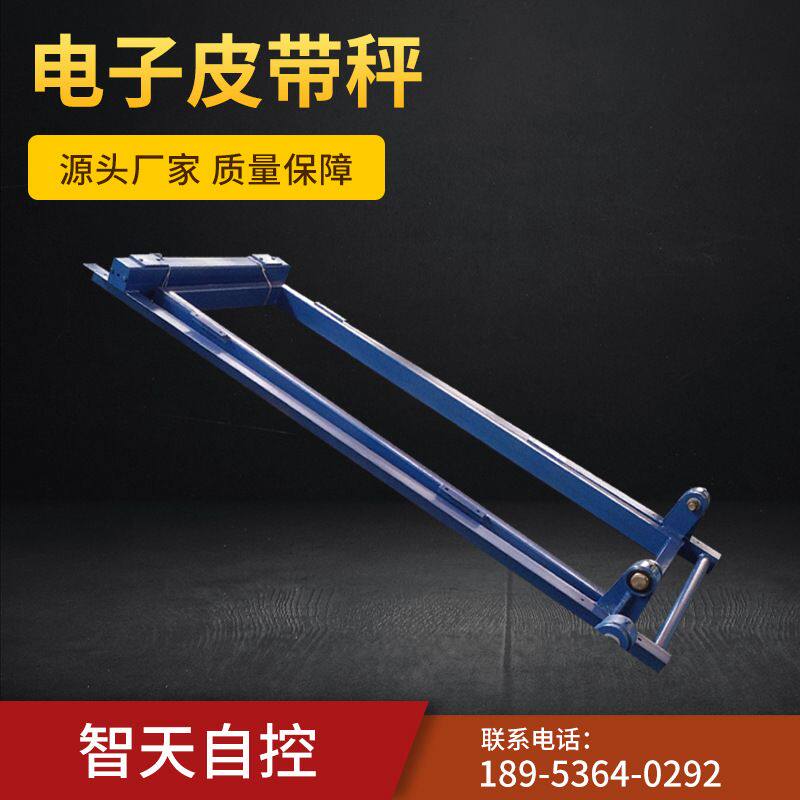 皮带秤重配料高精度皮带秤 皮带电子秤 调速沙场矿用电子皮带秤