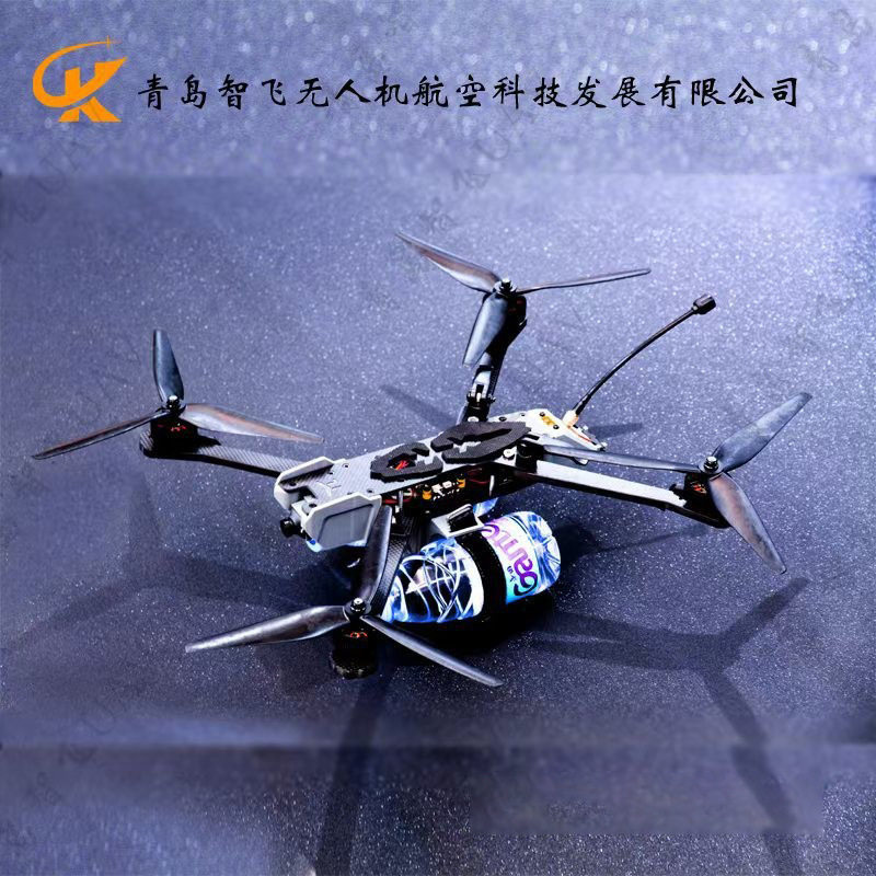 厂家直销 价抗干扰高速穿越机10寸配机负重3KG高清摄像头