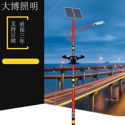 太阳能路灯高亮特色民族风6米新农村道路特色光伏LED路灯厂家