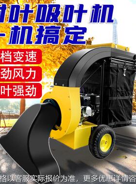 手推式吸叶机 人行道吸树叶的机器人 公园景区树叶吹吸机