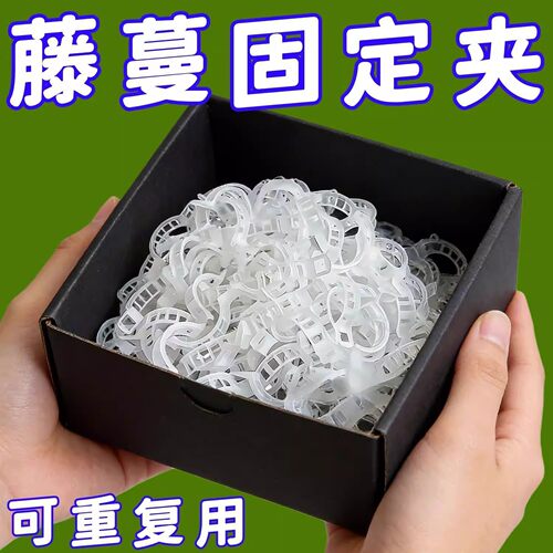 黄瓜西红柿豆角爬藤枝条固定器绿植蔬菜捆绑扎带藤蔓专用吊秧夹