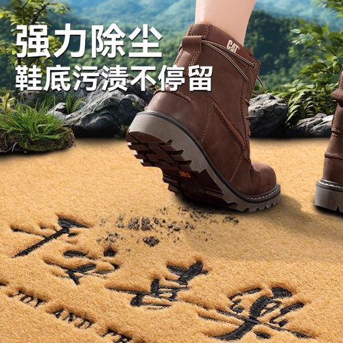 独栋别墅入户门地垫仿椰棕庭院进门脚垫门外2025新款耐脏一户建