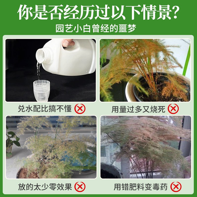 免稀释文竹营养液治黄叶专用肥料一喷绿盆栽室内液体肥云竹营养液