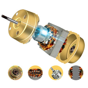 多丽电风扇家用台式 小型台扇摇头大风力定时双电机儿童FT2