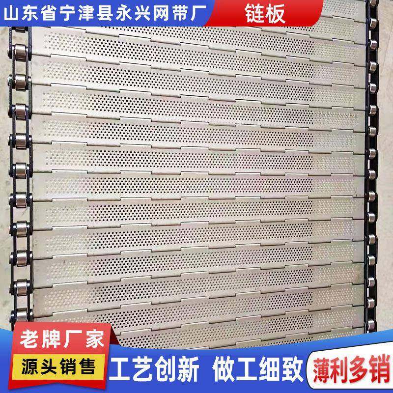 不锈钢工业冲孔链板输送食品链板耐高温药材茶叶烘干大枣传送链板,搬运/仓储/物流设备,其他起重搬运设备,淘宝优惠券,粉丝福利购,淘宝优惠卷