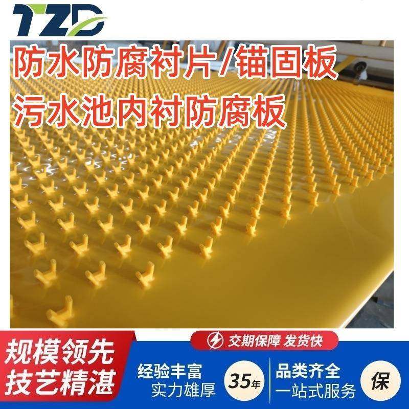 聚乙烯多点pe锚固板混凝土隧道防腐防渗一体板管道内衬锚固pe板,橡塑材料及制品,其他橡胶制品,淘宝优惠券,粉丝福利购,淘宝优惠卷