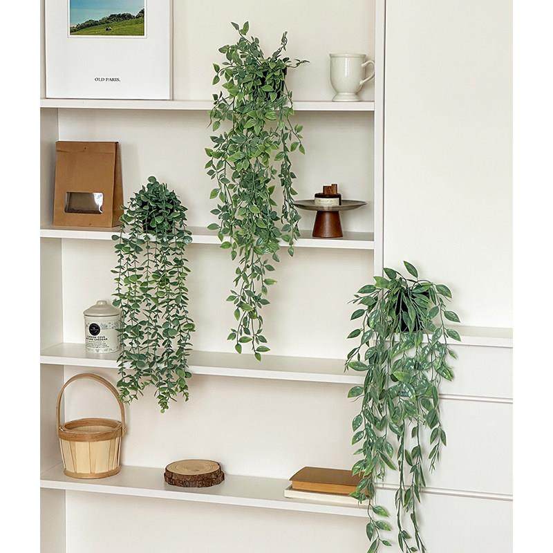 彷真绿色植物垂吊植物摆件创意客厅墙上桌面家居装饰品房间改造小,家居饰品,装饰摆件,淘宝优惠券,粉丝福利购,淘宝优惠卷