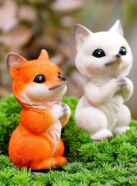 九尾狐狸多肉花盆景装饰户外造景白色猴尾柱小尾巴花园微景观摆件