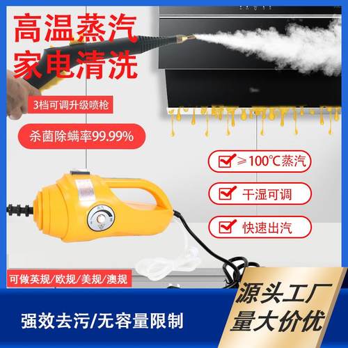 高温蒸汽清洗机小型蒸汽机多功能蒸汽清洗抽油烟机家电清洗一体机