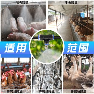 养殖场定时降温喷雾系统鸡舍猪场牛棚消毒加湿自动喷淋雾化微喷头