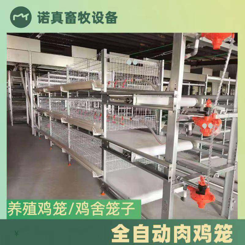 全自动肉鸡笼鸡舍养殖场镀锌工艺自动清粪,畜牧/养殖物资,特种养殖设备,淘宝优惠券,粉丝福利购,淘宝优惠卷