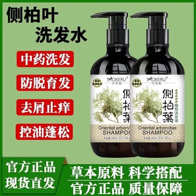 侧柏叶何首乌中药材洗发水防脱固生发育发增发密发官方旗舰店正品