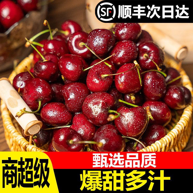 甄选高品质桑提娜智利车厘子
