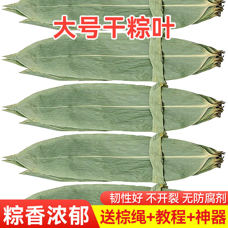 粽子叶干棕叶大号新叶包粽子专用的叶子端午节商用 粽叶大鲜
