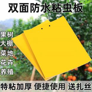 双面粘虫板贴纸强力灭杀小飞虫沾果蝇诱捕神器捉蚊子苍蝇大棚黄板