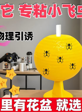 物理引诱家用粘蝇纸环保捕虫