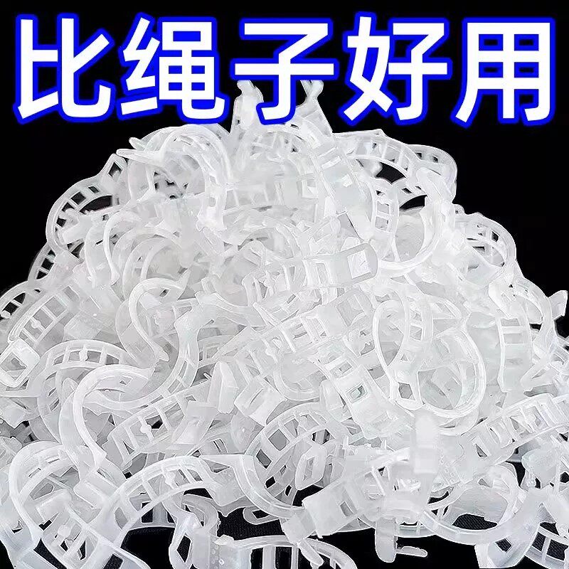 绿植果树植物固定夹卡扣藤蔓固定器秧苗爬藤支撑杆果蔬秧苗吊秧夹