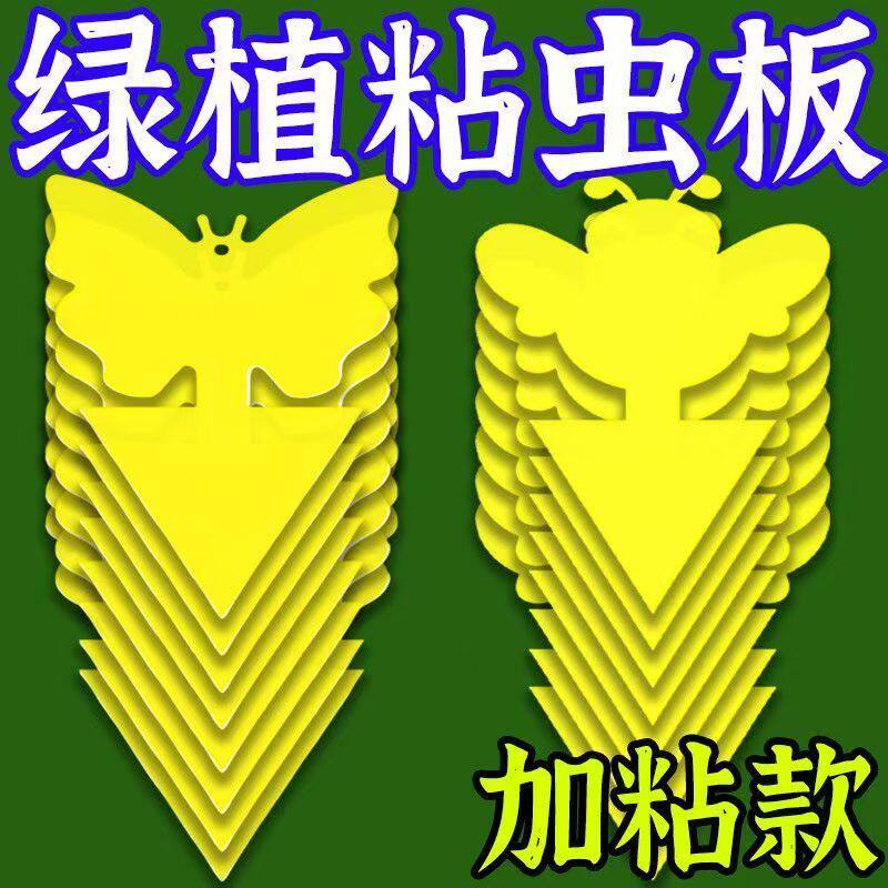 小黄板双面强力粘虫板