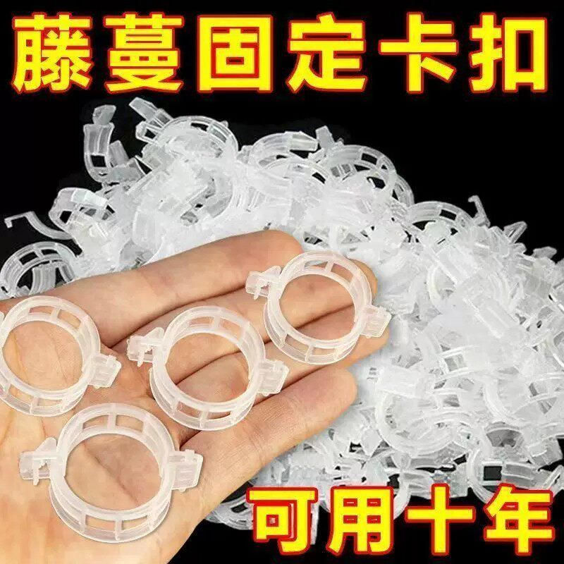 藤蔓卡扣葡萄爬藤蔬菜矫正牵引扣花盆大棚菜园绿植枝固定夹