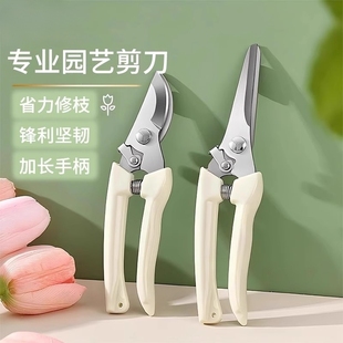 园艺园林果树剪刀修剪树枝盆栽神器家用绿化剪刀枝修剪刀专用工具